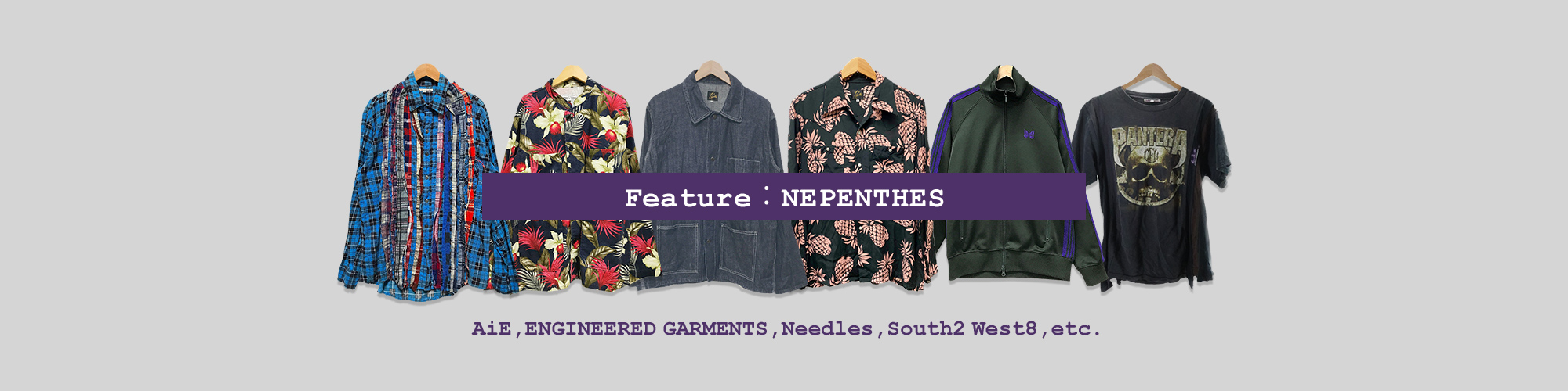 NEPENTHES系特集
