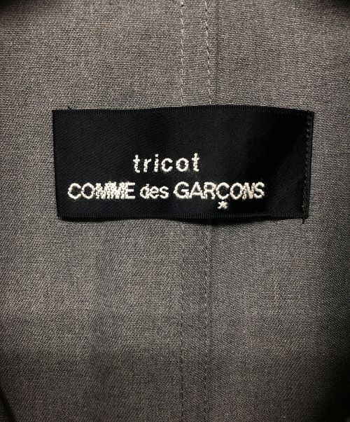 tricot COMME des GARCONS（トリココムデギャルソン）tricot COMME des GARCONS (トリココムデギャルソン) ワンピース グレー サイズ:不明の古着・服飾アイテム