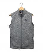 Patagoniaパタゴニア）の古着「SP15　ベターセーターベスト」｜グレー