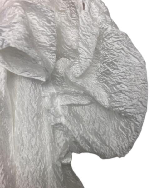 Snidel（スナイデル）Snidel (スナイデル) 半袖ブラウス ホワイト サイズ:FREEの古着・服飾アイテム