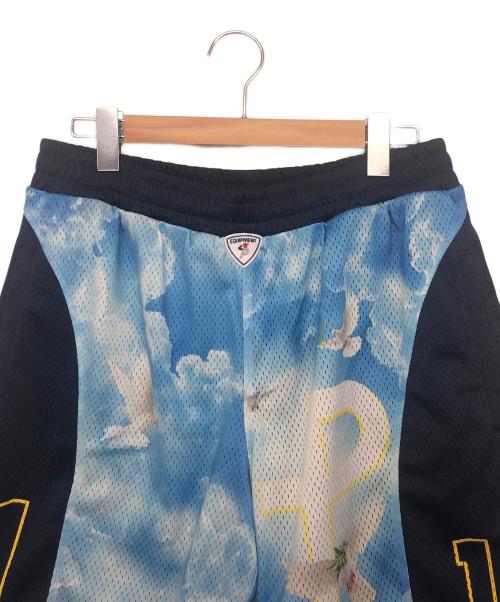 PALACE（パレス）PALACE (パレス) TRUTH SHORTS　ハーフパンツ ブルー サイズ:Mの古着・服飾アイテム