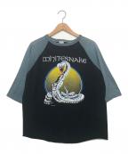 Whitesnakeホワイトスネイク）の古着「ホワイトスネーク 1987　バンドTシャツ」｜ブラック×グレー
