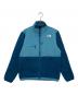 THE NORTH FACE（ザ ノース フェイス）の古着「デナリジャケット」｜スカイブルー