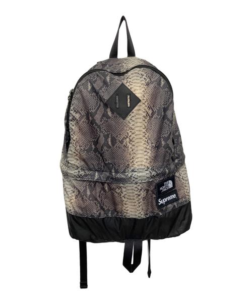 THE NORTH FACE（ザ ノース フェイス）THE NORTH FACE (ザ ノース フェイス) SUPREME (シュプリーム) Snakeskin Lightweight Day BackPack リュック 18SS グレーの古着・服飾アイテム
