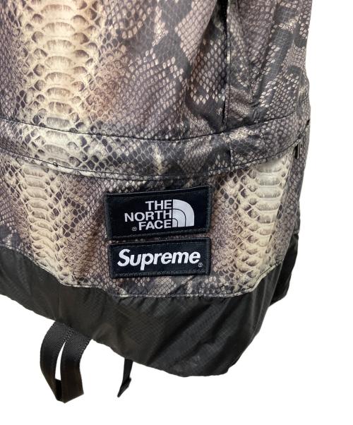 THE NORTH FACE（ザ ノース フェイス）THE NORTH FACE (ザ ノース フェイス) SUPREME (シュプリーム) Snakeskin Lightweight Day BackPack リュック 18SS グレーの古着・服飾アイテム