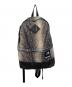THE NORTH FACE（ザ ノース フェイス）の古着「Snakeskin Lightweight Day BackPack リュック 18SS」｜グレー