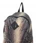 THE NORTH FACE (ザ ノース フェイス) SUPREME (シュプリーム) Snakeskin Lightweight Day BackPack リュック 18SS グレー：10000円