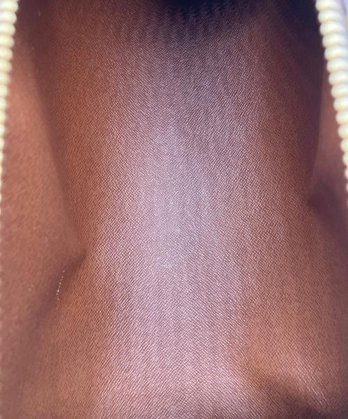 LOUIS VUITTON（ルイ ヴィトン）LOUIS VUITTON (ルイ ヴィトン) モノグラム パピヨン26 ブラウンの古着・服飾アイテム