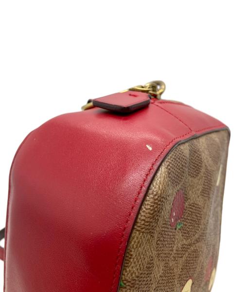 COACH（コーチ）COACH (コーチ) シグネチャー ショルダーバッグ ブラウン×レッドの古着・服飾アイテム