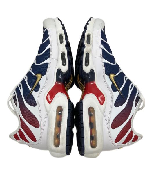 NIKE（ナイキ）NIKE PARIS SAINT-GERMAIN Air Max Plus 