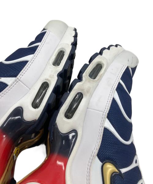 NIKE（ナイキ）NIKE PARIS SAINT-GERMAIN Air Max Plus 
