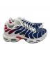 中古・古着 NIKE PARIS SAINT-GERMAIN Air Max Plus 