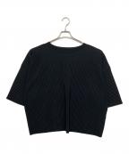 HOMME PLISSE ISSEY MIYAKEオム プリッセ イッセイ ミヤケ）の古着「HP01JK115　カットソー」｜ブラック