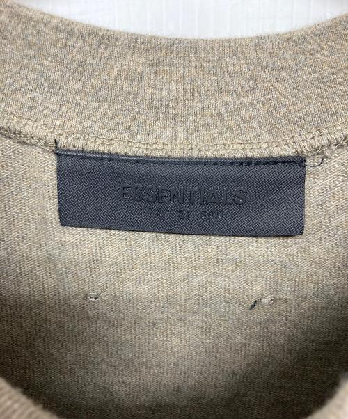 FOG ESSENTIALS（フィアオブゴッド エッセンシャル）FOG ESSENTIALS (フィアオブゴッド エッセンシャル) 半袖カットソー ブラウン サイズ:Mの古着・服飾アイテム