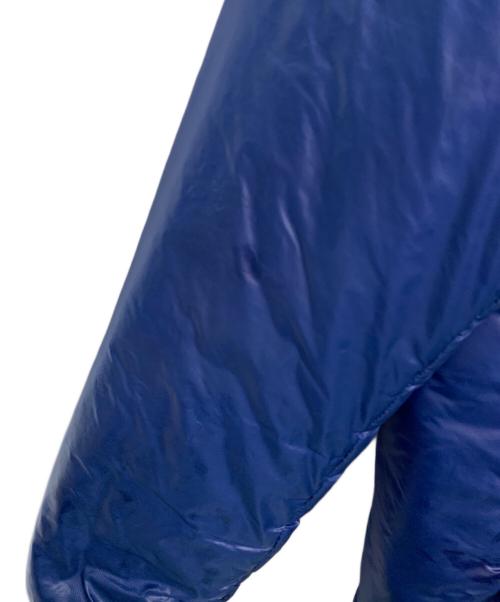 THE NORTH FACE（ザ ノース フェイス）THE NORTH FACE (ザ ノース フェイス) THE NORTH FACE ダウンジャケット ブルー サイズ:Lの古着・服飾アイテム