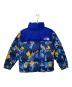 THE NORTH FACE (ザ ノース フェイス) THE NORTH FACE ダウンジャケット ブルー サイズ:S：22000円
