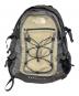 THE NORTH FACE（ザ ノース フェイス）の古着「THE NORTH FACE BOREALIS リュック」｜グレー×ベージュ