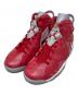 NIKE（ナイキ）の古着「NIKE Air Jordan 6 RETRO 