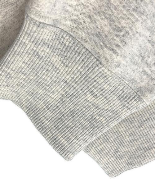 THE NORTH FACE（ザ ノース フェイス）THE NORTH FACE (ザ ノース フェイス) THE NORTH FACE スウェットプルパーカー グレー サイズ:Lの古着・服飾アイテム