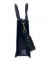 CHARLES & KEITH (チャールズアンドキース) CHARLES & KEITH 2WAYバッグ ネイビー：5000円