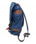 Patagonia (パタゴニア) Patagonia リュック ブルー：8000円