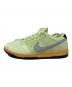 NIKE (ナイキ) NIKE SB DUNK LOW PRO PRM 
