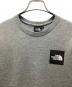 THE NORTH FACE (ザ ノース フェイス) 半袖Tシャツ グレー サイズ:S：3000円