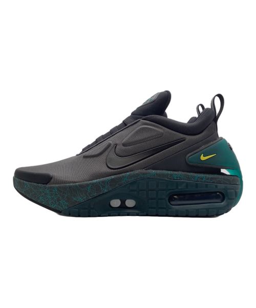 NIKE（ナイキ）NIKE (ナイキ) DAPT AUTO MAX ANTHRACITE サイズ:28cmの古着・服飾アイテム