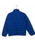 Patagonia (パタゴニア) ダウンジャケット ブルー サイズ:xs：9000円