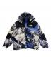 THE NORTH FACE（ザ ノース フェイス）の古着「ダウンジャケット」｜ブルー×ホワイト
