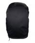 peak design（ピークデザイン）の古着「peak design ピークデザイン トラベル バックパック 30L」｜ブラック