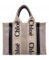 Chloe（クロエ）の古着「Chloe クロエ 2WAY ハンドバッグ」｜ベージュ×ブラック
