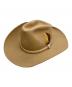 STETSON（ステットソン）の古着「ウエスタンビーバーフェルトハット」｜ブラウン