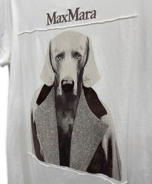 MaxMara（マックスマーラ）MaxMara (マックスマーラ) ドッグプリントTシャツ ホワイト サイズ:Mの古着・服飾アイテム
