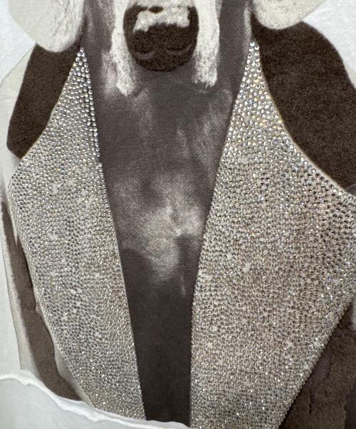 MaxMara（マックスマーラ）MaxMara (マックスマーラ) ドッグプリントTシャツ ホワイト サイズ:Mの古着・服飾アイテム