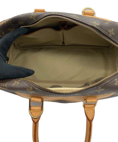 LOUIS VUITTON（ルイ ヴィトン）LOUIS VUITTON (ルイ ヴィトン) ハンドバッグ ブラウンの古着・服飾アイテム