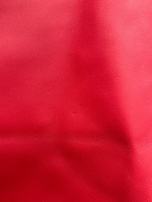 CELINE（セリーヌ）CELINE (セリーヌ) トートバッグ ホリゾンタルカバ レッド×ベージュの古着・服飾アイテム