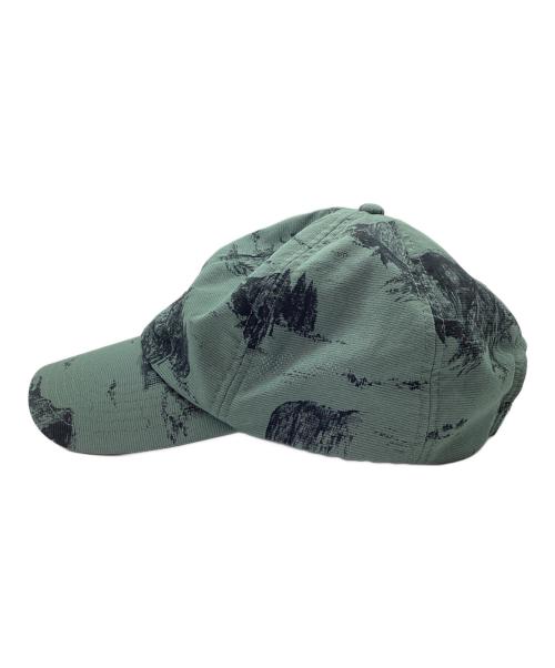 THE NORTH FACE（ザ ノース フェイス）THE NORTH FACE (ザ ノース フェイス) キャップ オリーブ サイズ:Lの古着・服飾アイテム