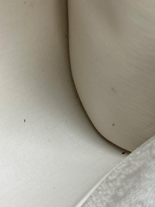 Christian Dior（クリスチャン ディオール）Christian Dior (クリスチャン ディオール) チェーンショルダーバッグ ハニカム ホワイトの古着・服飾アイテム