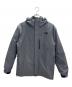 THE NORTH FACE（ザ ノース フェイス）の古着「ノベルティゼウストリクライメート ダウンジャケット」｜グレー