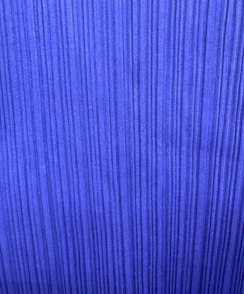 PLEATS PLEASE（プリーツプリーズ）PLEATS PLEASE (プリーツプリーズ) ハイネックプリーツカットソー ブルー サイズ:4の古着・服飾アイテム