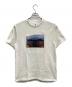 Supreme（シュプリーム）の古着「Supreme Nike ACG Grid Tee 
