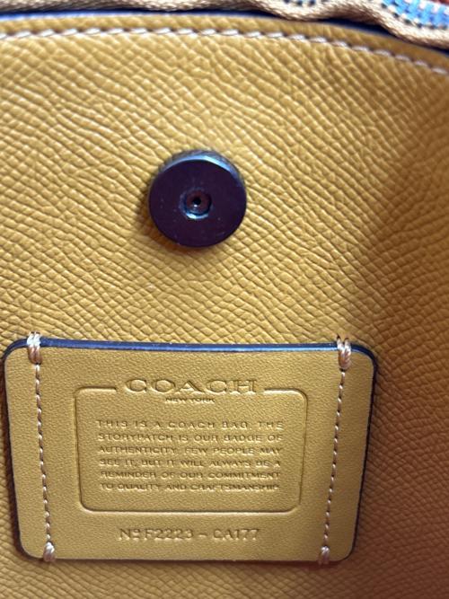 COACH（コーチ）COACH (コーチ) モリーバケットバッグ 2WAY グリーン×イエローの古着・服飾アイテム