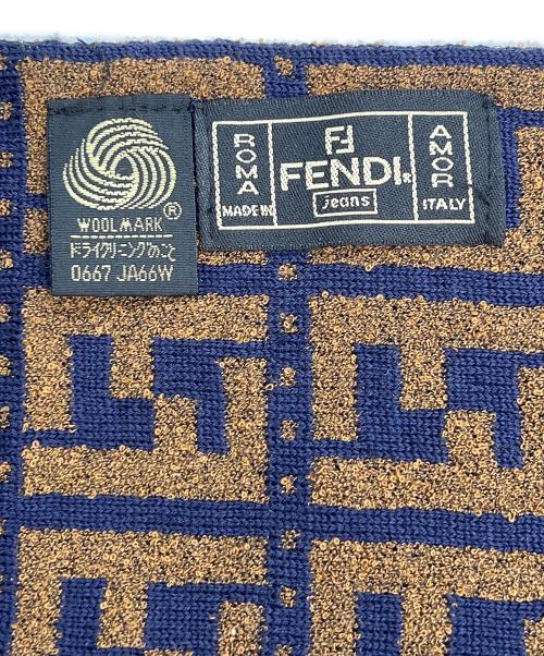 FENDI（フェンディ）FENDI (フェンディ) パイル地マフラー ブルー×ブラウンの古着・服飾アイテム