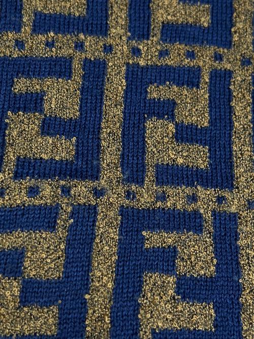 FENDI（フェンディ）FENDI (フェンディ) パイル地マフラー ブルー×ブラウンの古着・服飾アイテム