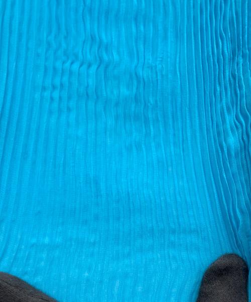 ISSEY MIYAKE（イッセイミヤケ）ISSEY MIYAKE (イッセイミヤケ) プリーツカットソー ブルー サイズ:2の古着・服飾アイテム