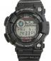 CASIO（カシオ）の古着「FROGMAN GWF-1000-1JF」