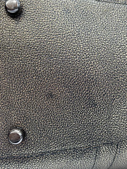 COACH（コーチ）COACH (コーチ) エレベーテッド ライダー33 サッチェル メタリックレザー ブロンズの古着・服飾アイテム