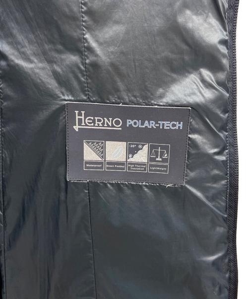 HERNO（ヘルノ）HERNO (ヘルノ) ダウンコート ネイビー サイズ:42の古着・服飾アイテム