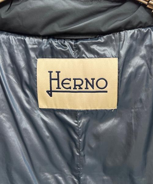 HERNO（ヘルノ）HERNO (ヘルノ) ダウンコート ネイビー サイズ:42の古着・服飾アイテム